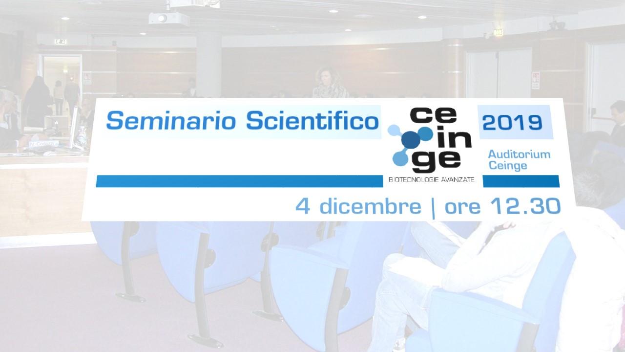 seminario toietta